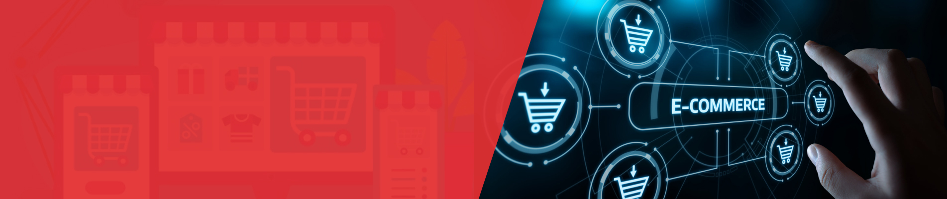 E-commerce Website Application Development Services