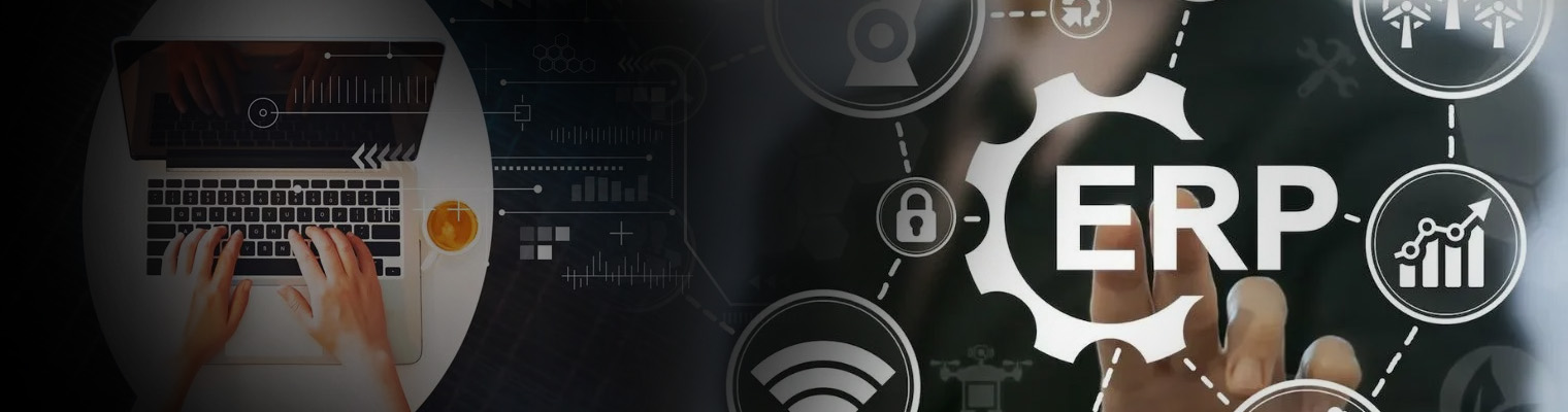 Custom ERP Software Development Services Company